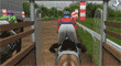 At yarışı 3D