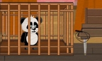 Kaçak panda